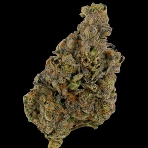 Cannabis Flower - $10g Freshwater Biscotti - By the Gram