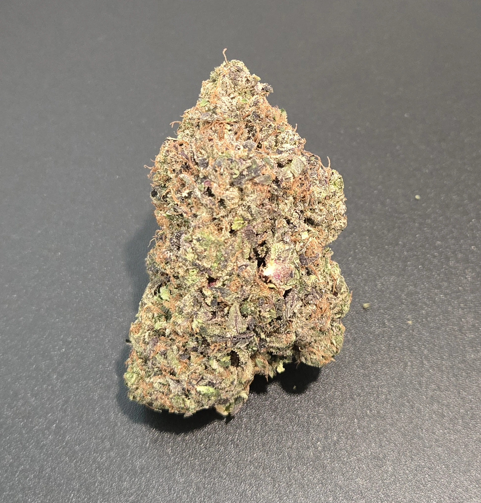 Cannabis Flower - $7g Black Tuna - By the Gram Main Image