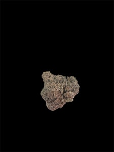 Cannabis Flower - $7g Black Zoap - By the Gram