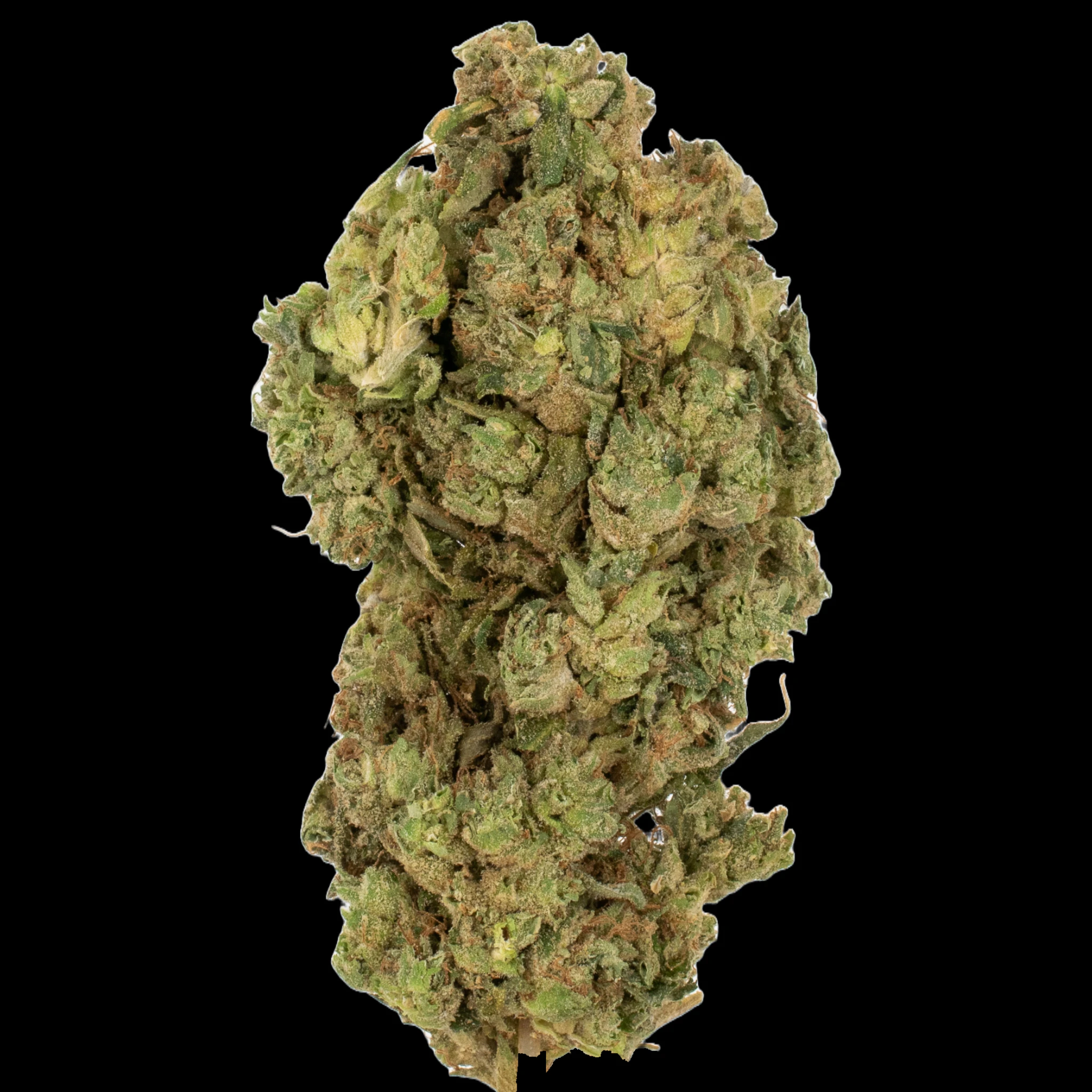 Cannabis Flower - $7g Dude Where's my Bike - By the Gram Main Image