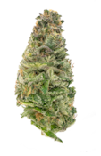 New Altitude Farms - Lemon Slushie - 3.5g