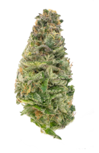 New Altitude Farms - New Altitude Farms - Lemon Slushie - 3.5g