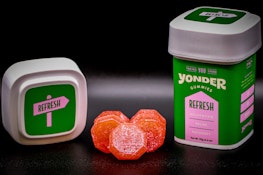 Yonder/Gummy/Refresh Strawberry Kiwi/100mg