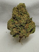 Fora LLC-Apple Jax (1/8th) -Sativa