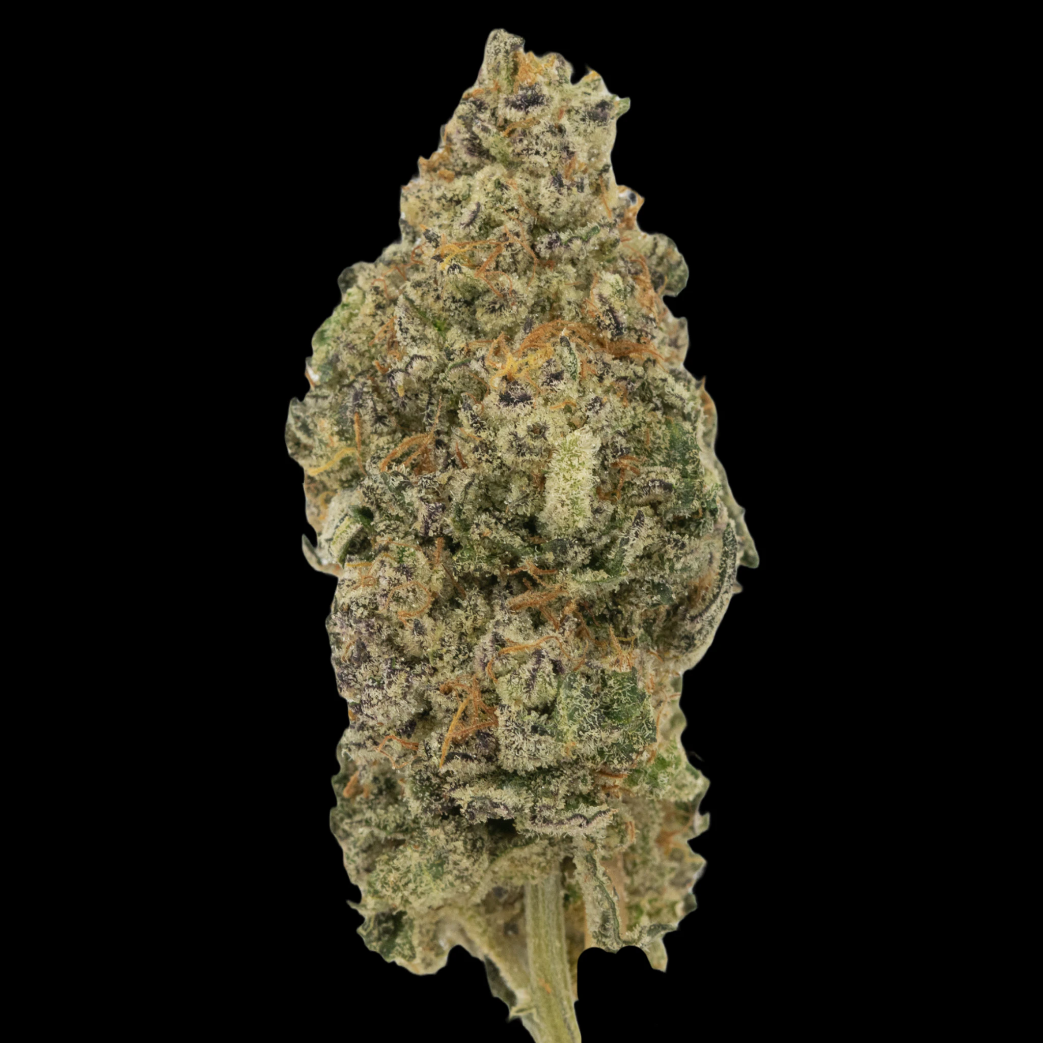 Cannabis Flower - $7g Hippie Kush Mints - By the Gram Main Image