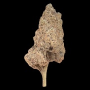 $6g Black Cherry OG - By the Gram