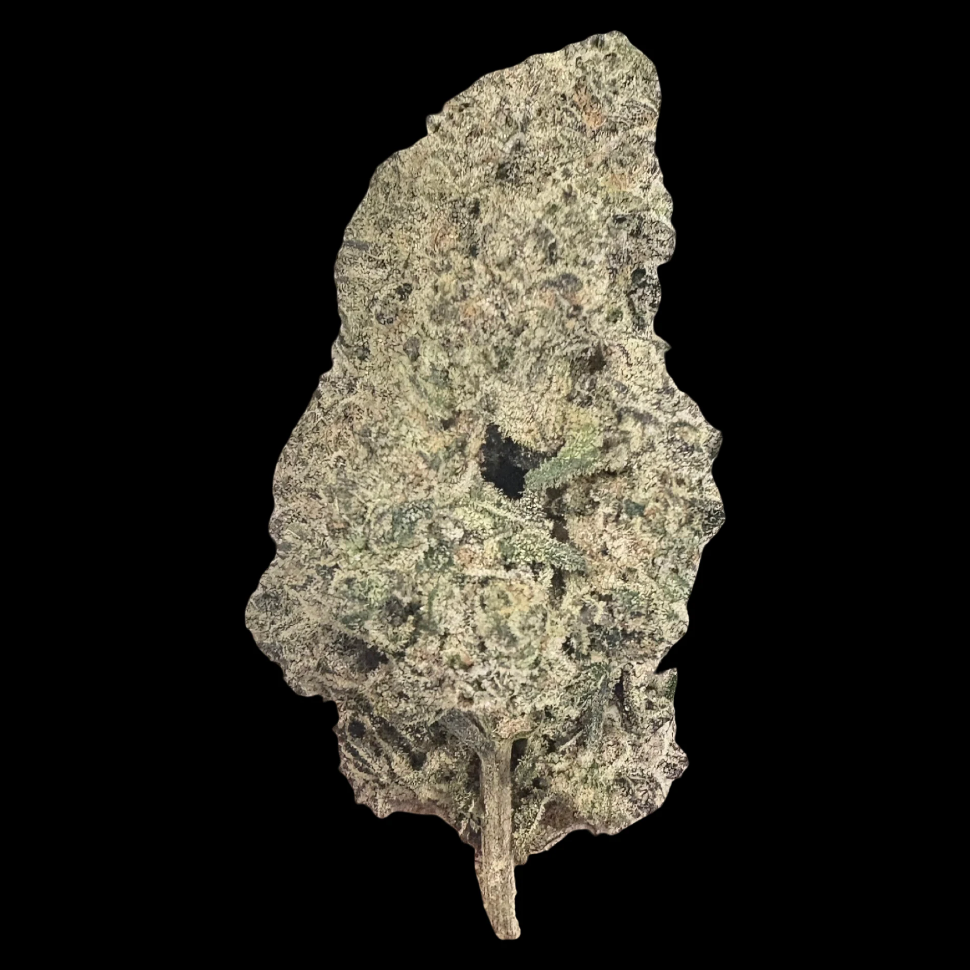 Cannabis Flower - $7g Grape OG - By the Gram Main Image