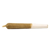 General Admission - Peach Ringz Distillate Infused Pre-Roll - Sativa - 1x1g
