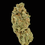 $7g Neon Trees - By the Gram