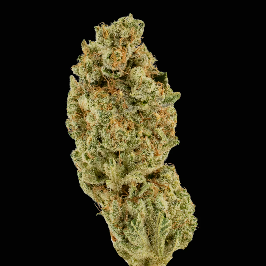 MDBX Farms - $7g Neon Trees - By the Gram Main Image