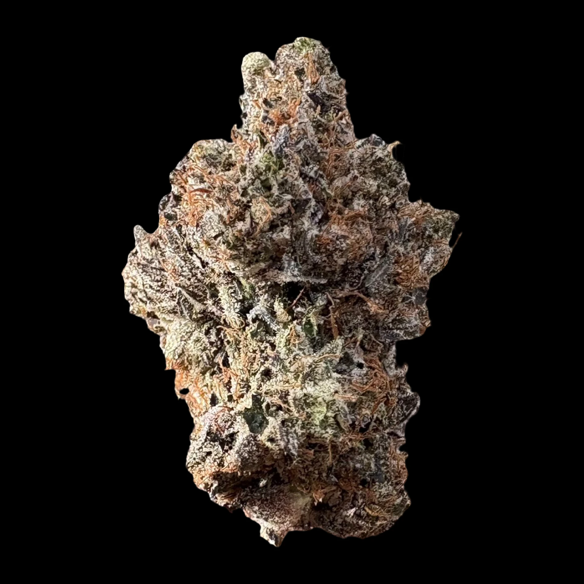 Cannabis Flower - $10g Pink Utopia - By the Gram Main Image