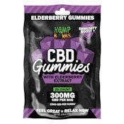 20 Count Elderberry Extract CBD Gummies