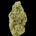 $4g Banana Runtz - By the Gram