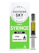 Blueberry Muffins Syringe - 1g