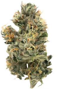 New Altitude Farms - New Altitude - Big Z - 3.5g