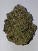 HG - OG Kush (1g) - HYBRID