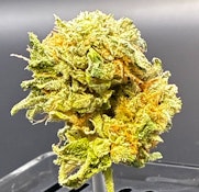 Dragon Fire Farms - Imagine Dragons - 7g
