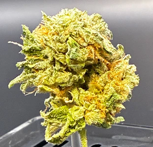 Dragon Fire Farms - Dragon Fire Farms - Imagine Dragons - 7g