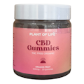 CBD Dragon Fruit Gummies - 500mg - Plant Of Life