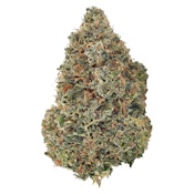 Bud Lafleur - Poison Kush - Indica - 3.5g