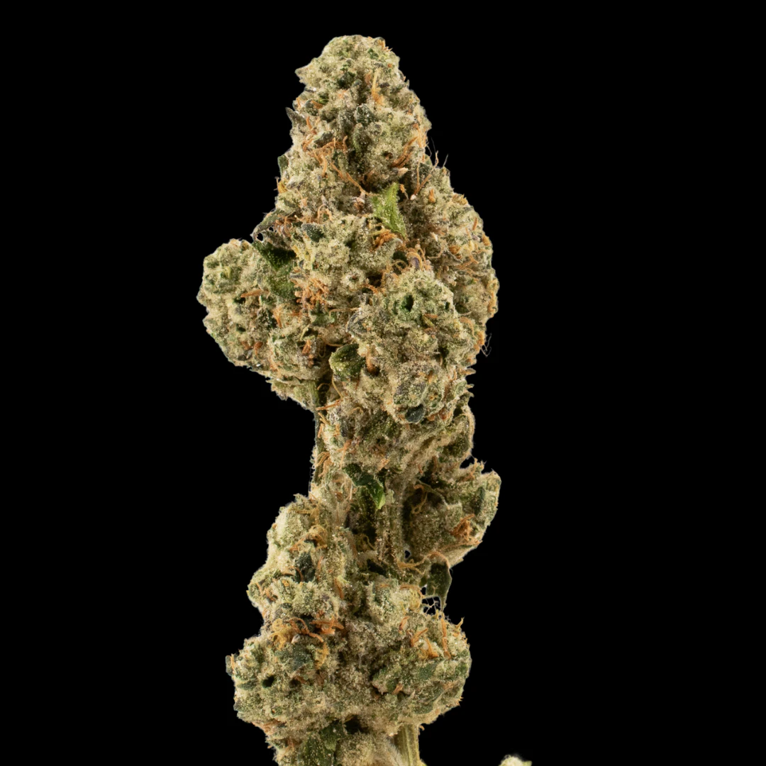 Cannabis Flower - $10g Wild Runtz - By the Gram Main Image