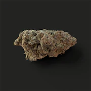 $12g Tropical Haze - By the Gram