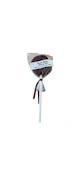 Root Beer Lollipop - 100mg - Choice Edibles