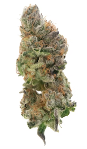 New Altitude - New Altitude - Goofiez 3.5g