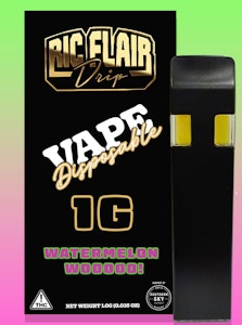 Southern Sky Brands - Ric Flair Drip - Watermelon Wooooo Disposable - 1g