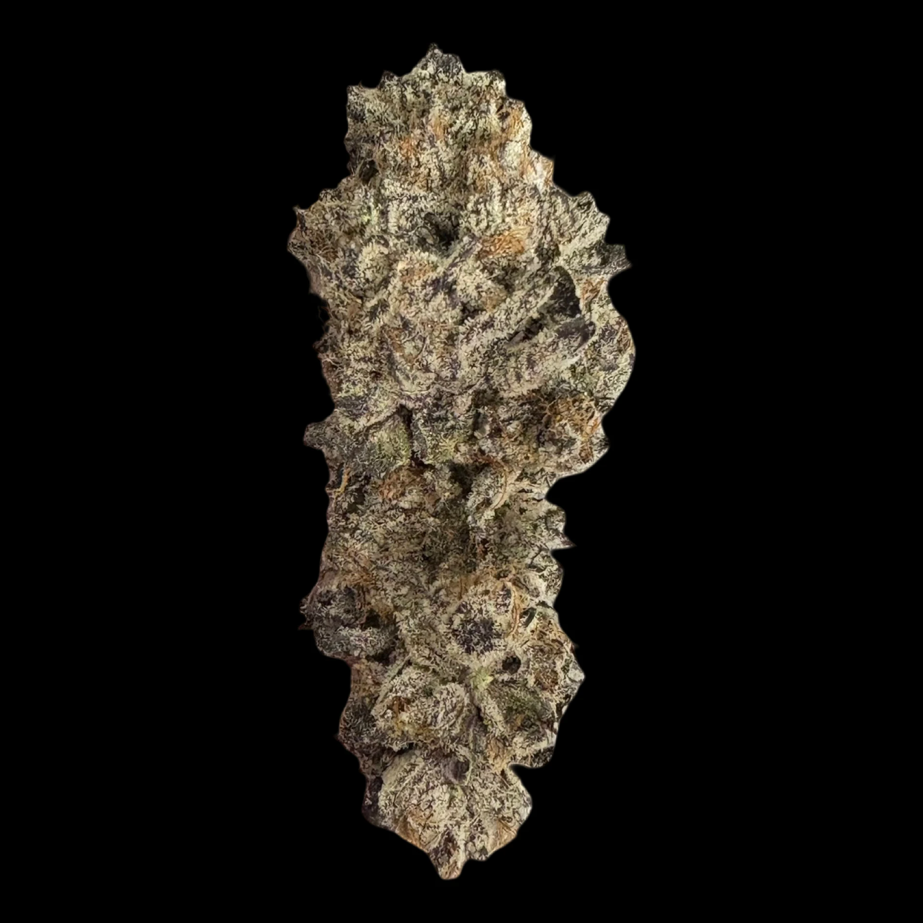 Cannabis Flower - $8g Blueberry Scout Breath LSO - By the Gram Main Image