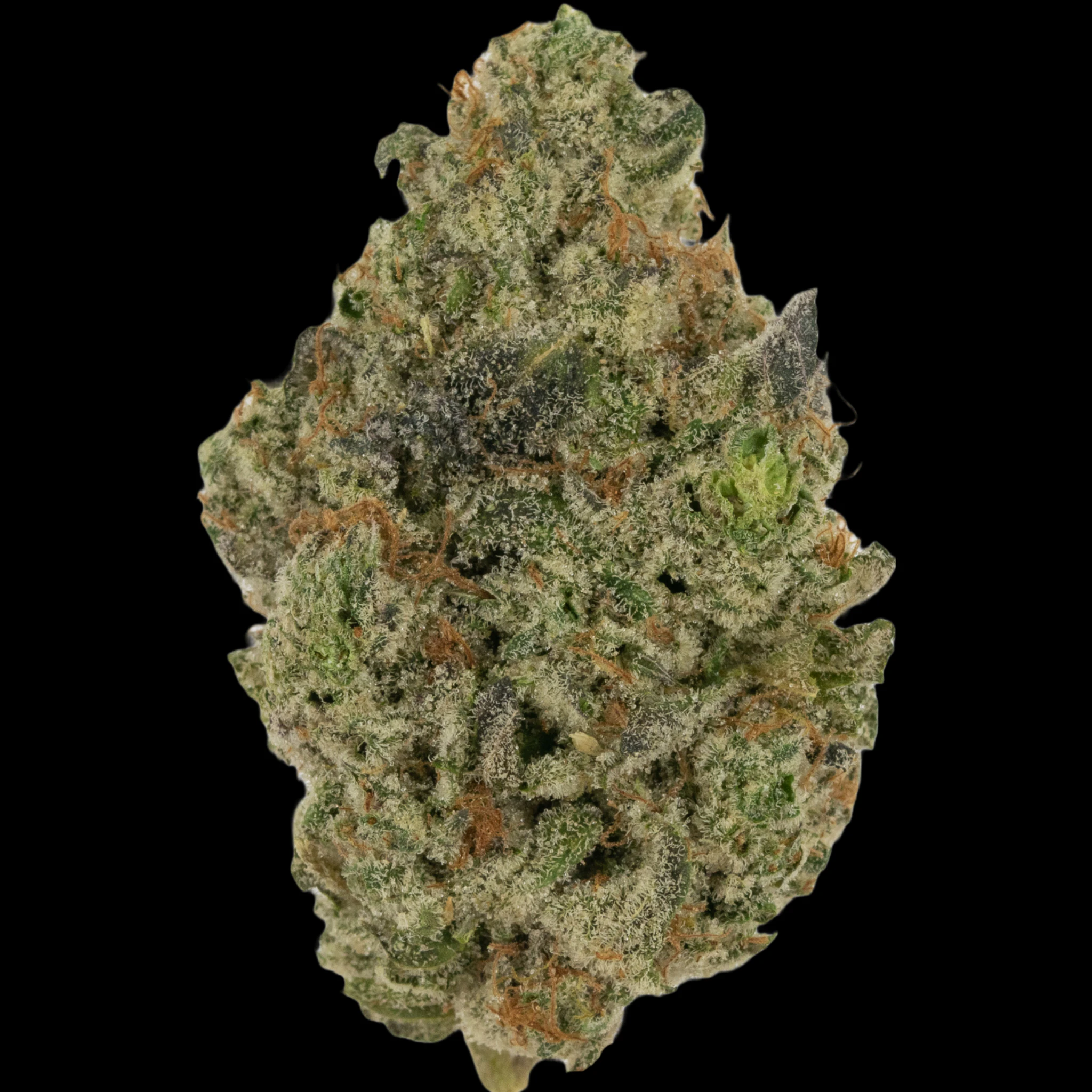 Cannabis Flower - $8g Banana Punch - By the Gram Main Image
