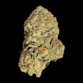 $7g Nuclear Pink - By the Gram