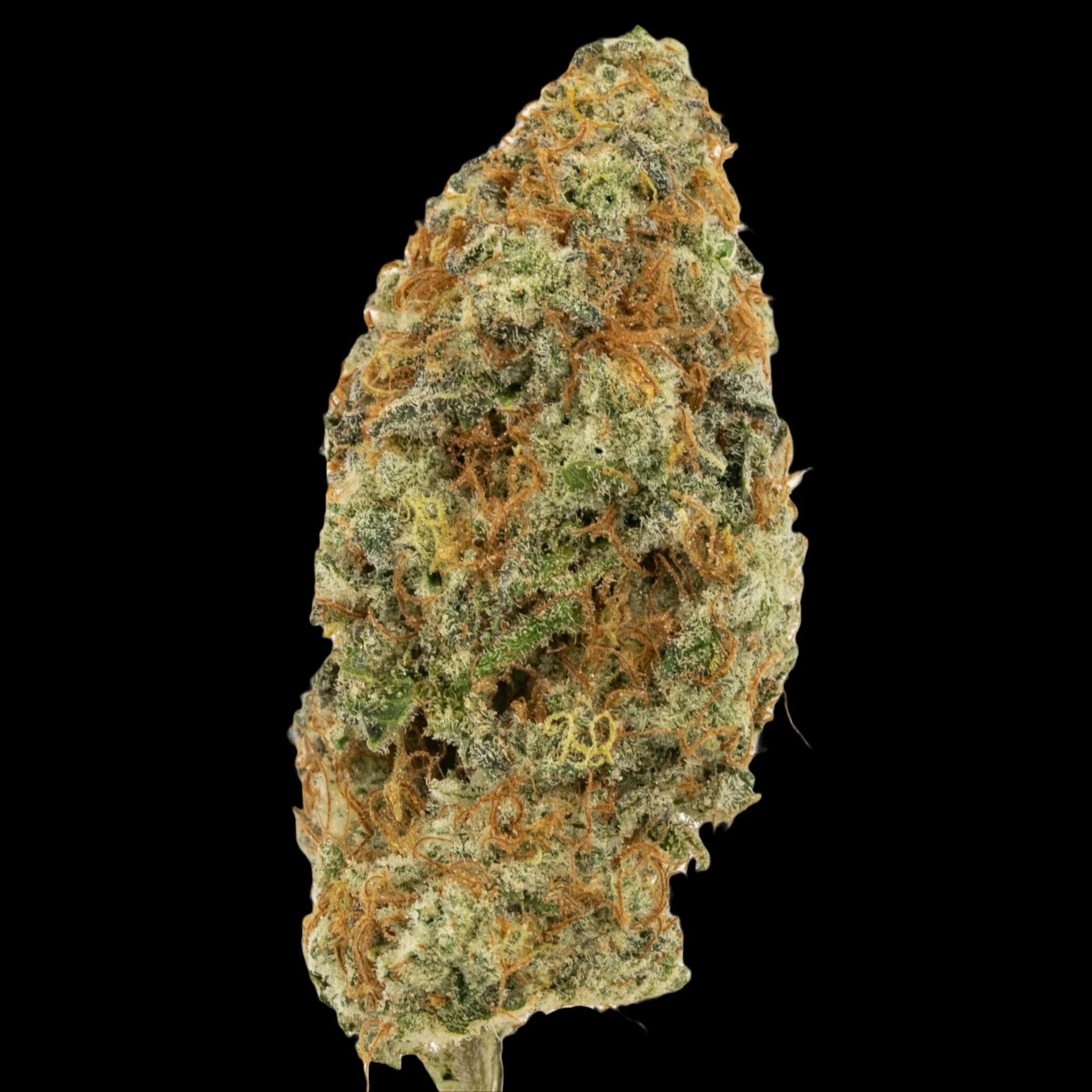MDBX Farms - $6g Cheetah Piss - By the Gram Main Image