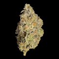 $8g Pink Gulag - By the Gram