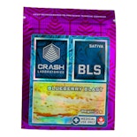 Blueberry Blast Shatter - 1g - Crash Labs