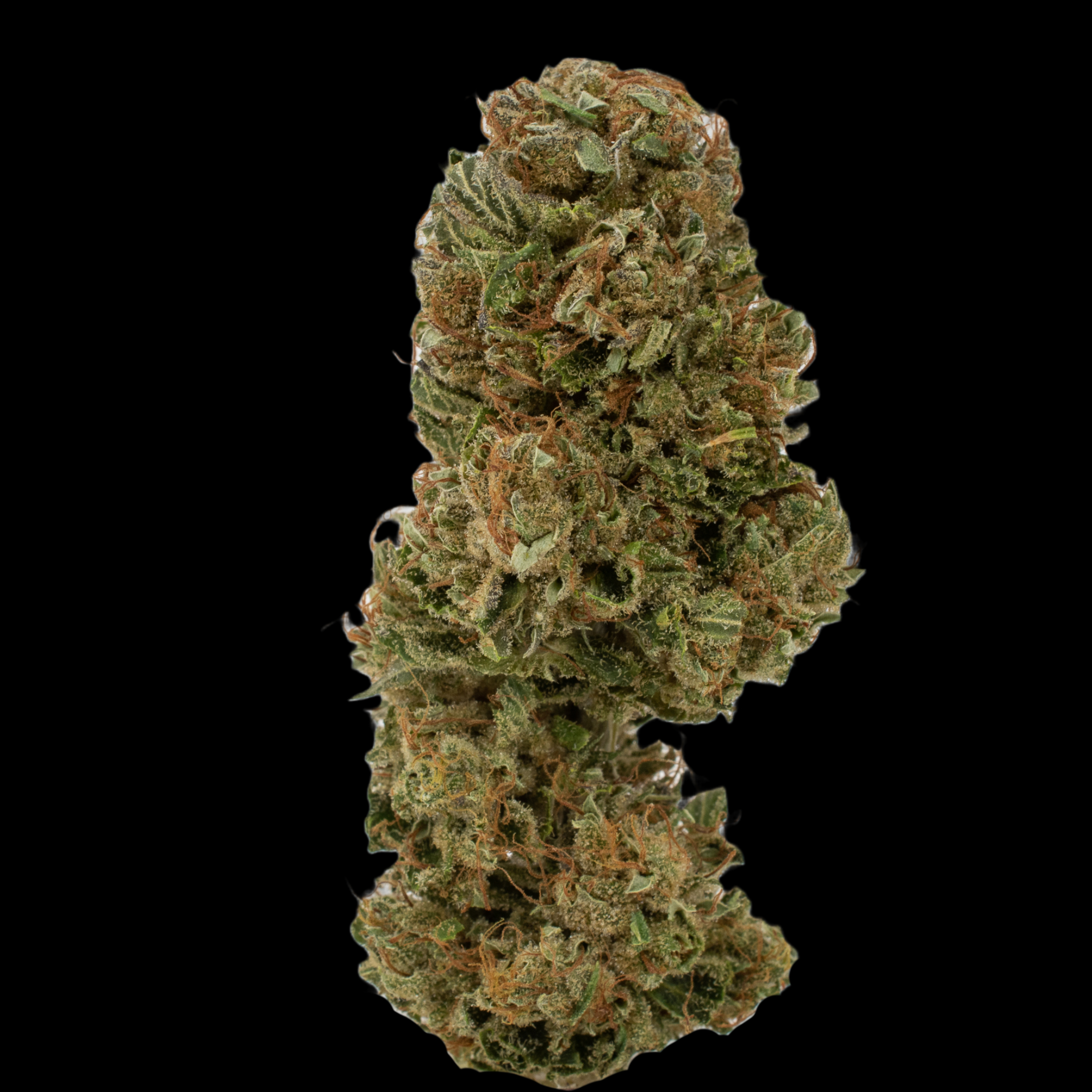 $7g AC/DC - By the Gram - Best Cannabis In Town - The Med