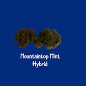42 Days - Mountaintop Mint (1/8th) Hybrid