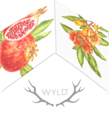 WYLD - Pomegranate 1:1 (100mg THC/ 100mg CBD) Hybrid Enhanced