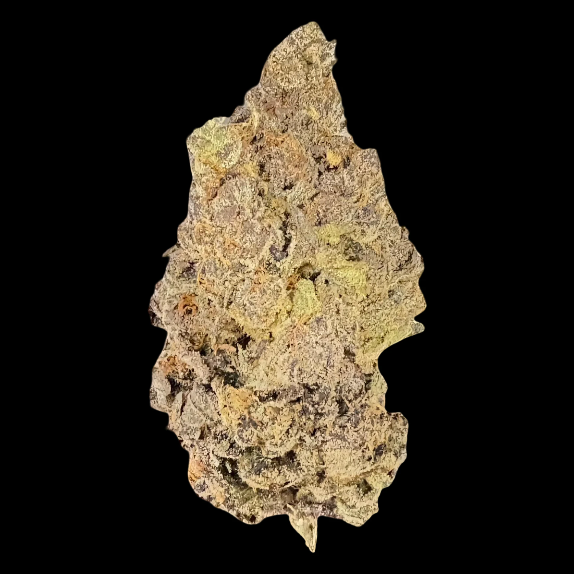 Cannabis Flower - $7g Lemon Cream - By the Gram Main Image