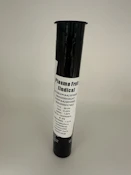 Mag High - Plasma Fruit 0.5g Pre Roll x2