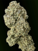 Dragon Fire Farms - Gorilla Fritter - 3.5g
