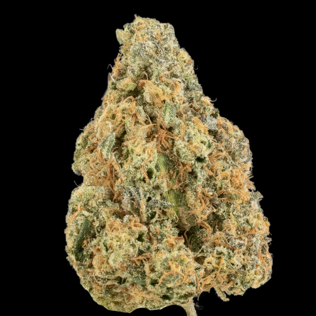 MDBX Farms - $12g Black Maple #22 - By the Gram Main Image