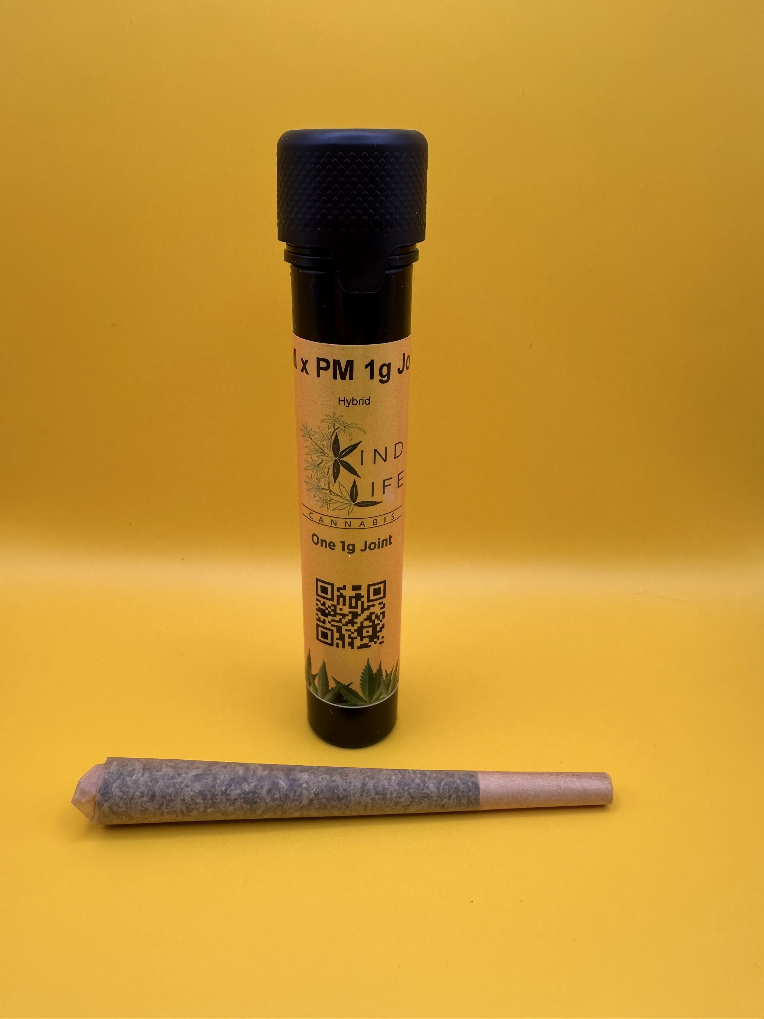 Kind Life - Kind Life - AM x PM 1g PreRoll Main Image