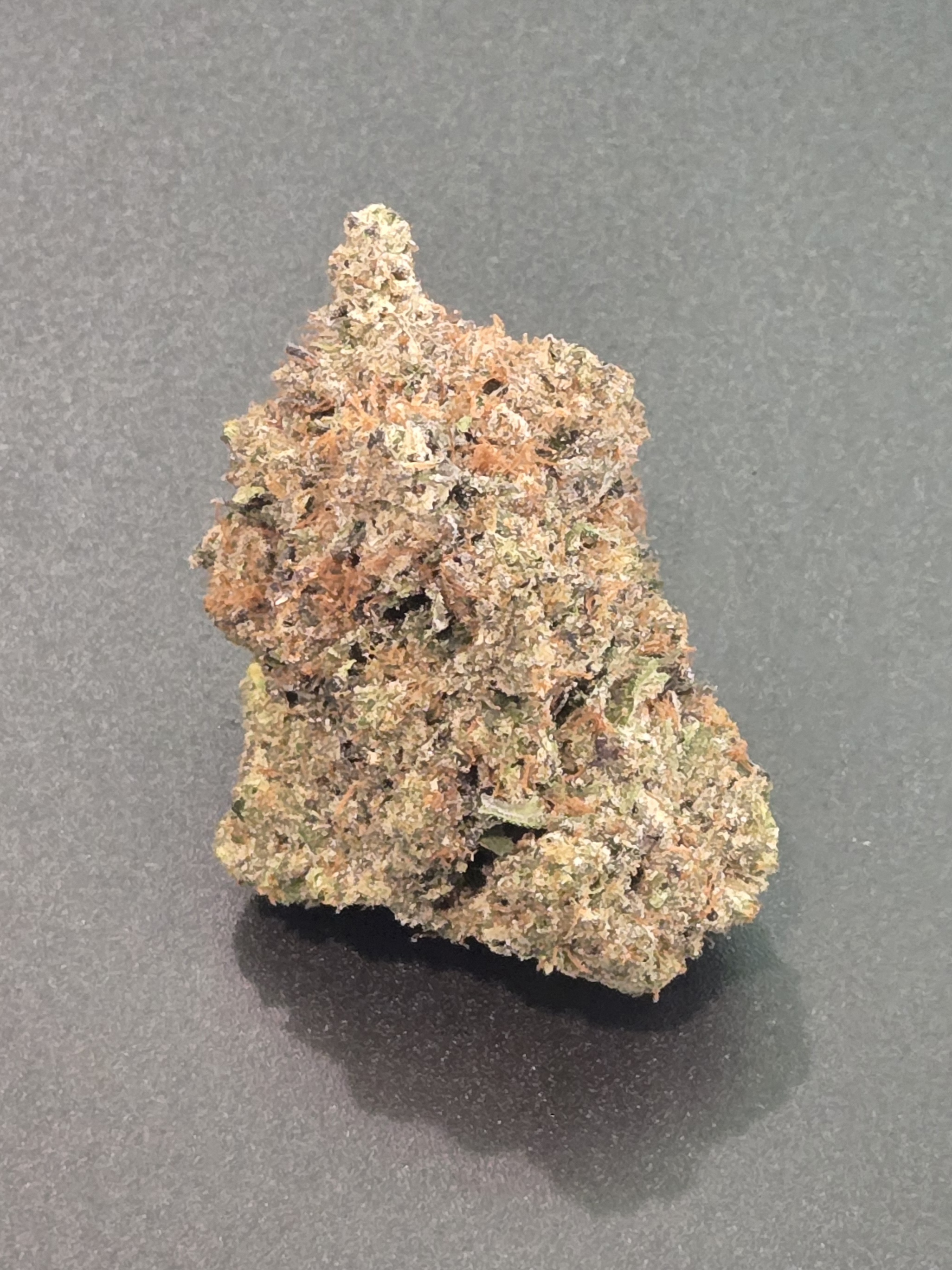 $10g Gaster Paradise - By The Gram