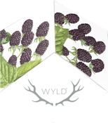 WYLD - Marionberry (100mg THC) Indica Enhanced