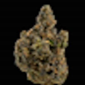 Cannabis Flower - $8g Georgie Pie - By the Gram