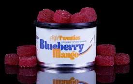 FLIGH -Blueberry Mango Gummies (20pc / 100mg) - Hybrid