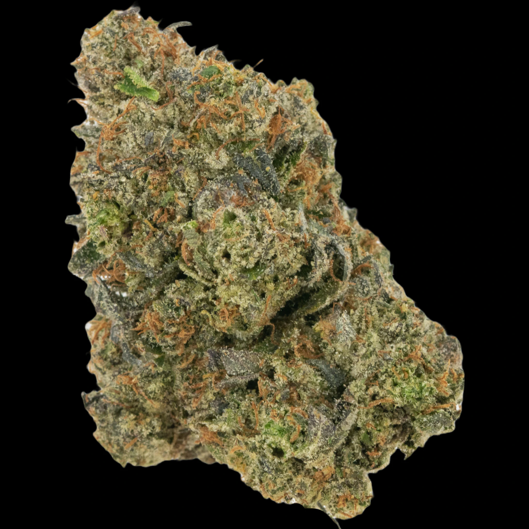 Cannabis Flower - $5g Rockstar - By the Gram Main Image