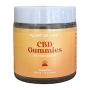 CBD Pineapple Gummies - 500mg - Plant Of Life