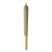 MTL Cannabis - Jungl' Cake Pre-Roll - Sativa - 7x0.5g